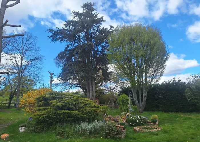 D'hote Отель типа 